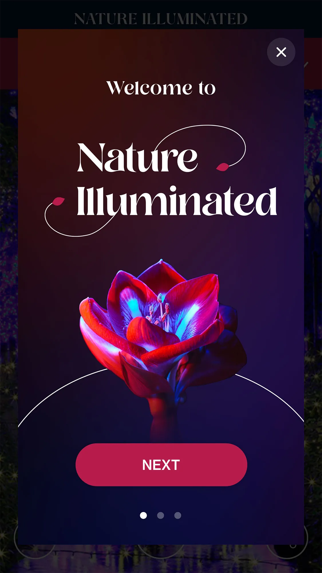 Nature Illuminated - treasure hunt experience