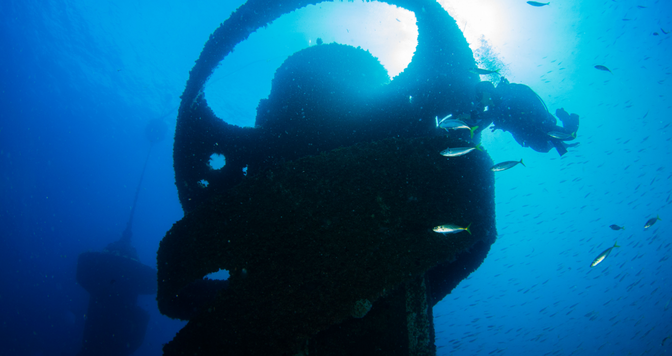 Wonder Reef - underwater reef structure