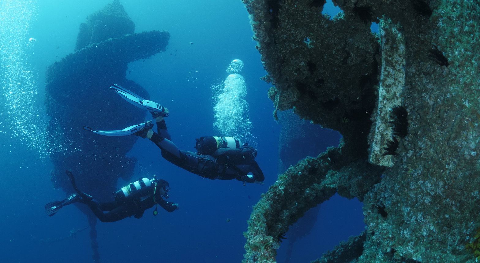 Wonder Reef - coral planting on reef