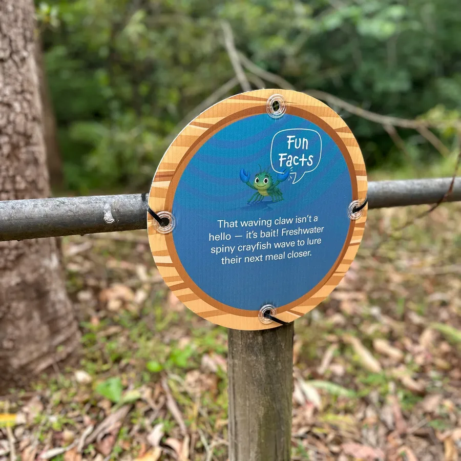 Hide and Go Creek - Fun Facts sign fixed to a trail rail, explaining how freshwater spiny crayfish wave a claw to lure their next meal