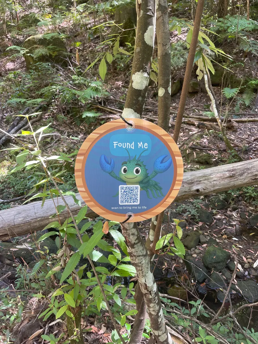 Hide and Go Creek - Found Me disc strung from a sapling above a mossy creek bed, one of five markers hidden along the Hornsby Shire trails
