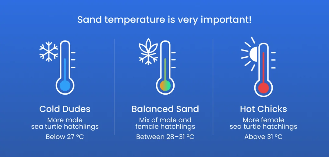 Milbi Centre infographic panel 1