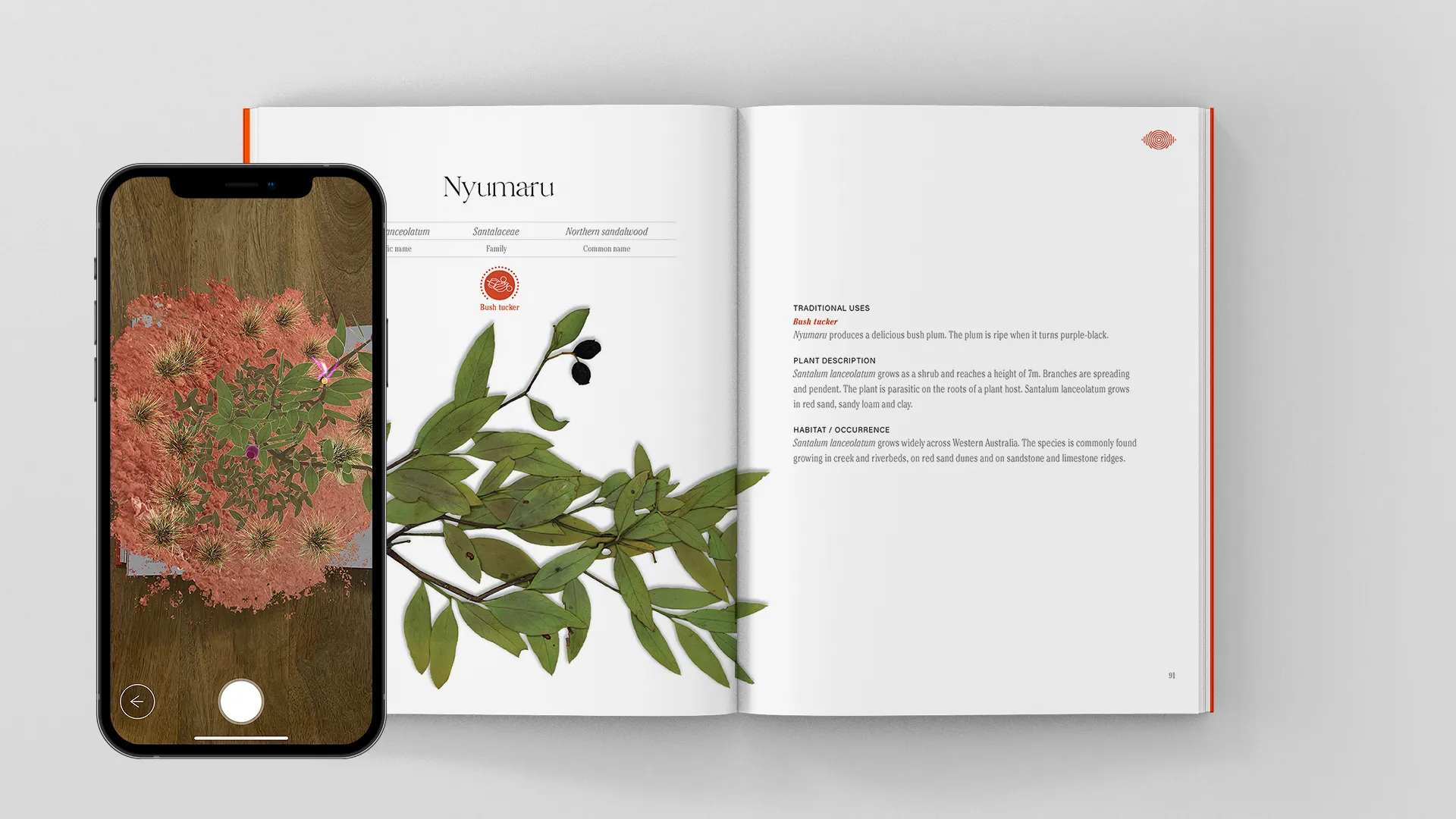 Nyiyaparli Flora Book mockup