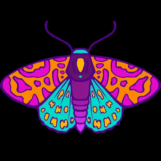 Cryptic Frequency - AR fashion pattern 2