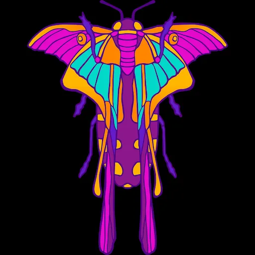 Cryptic Frequency - AR fashion pattern 8
