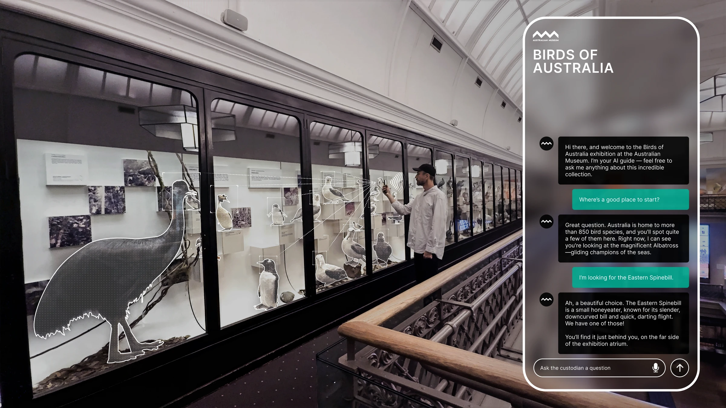 Mockup of a visitor in the Birds of Australia exhibition holding a phone toward a cabinet of bird specimens, with a conversational AI interface on the screen responding to their voice questions
