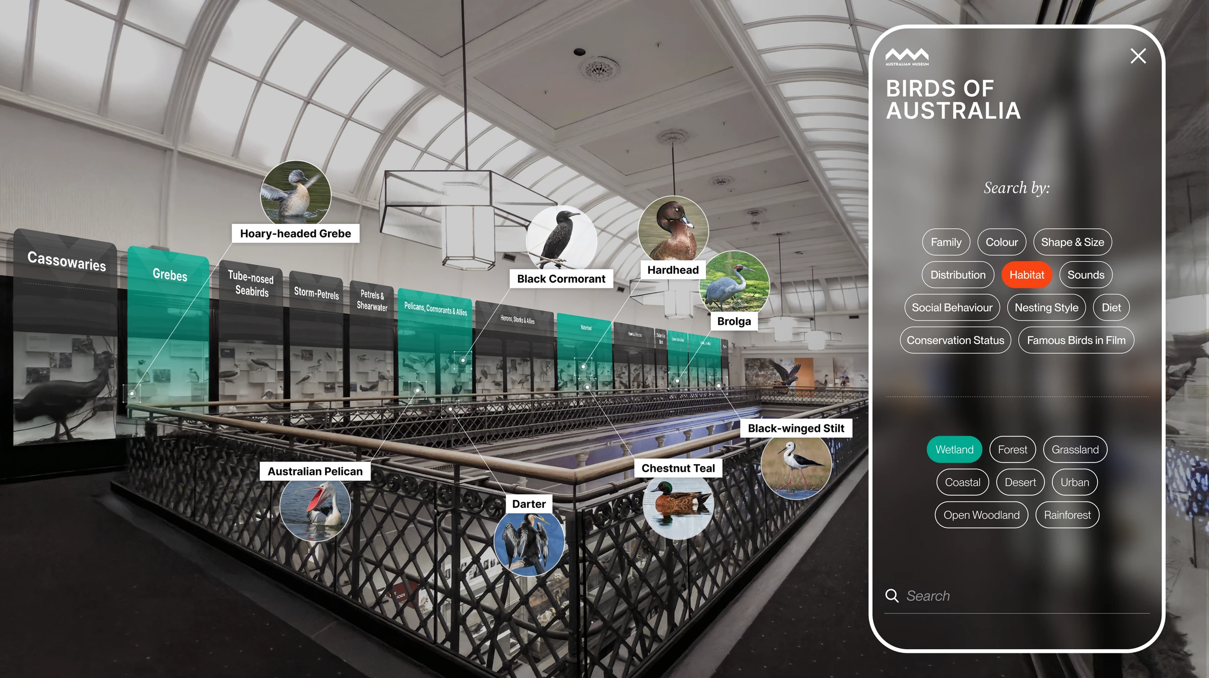 Mockup of a spatial search interface in the Birds of Australia exhibition - a habitat filter set to Wetland, with the matching bird specimens highlighted in AR across the room